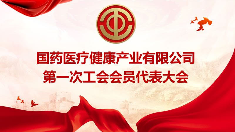 國(guó)藥醫(yī)療健康產(chǎn)業(yè)有限公司第一次工會(huì)會(huì)員代表大會(huì)勝利召開(kāi)！